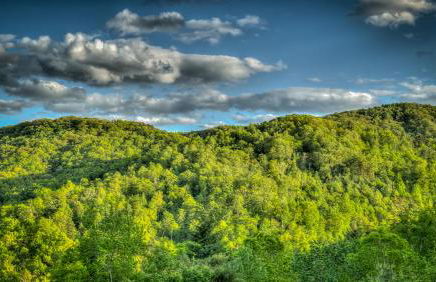 Ridgescapes - Foto 8