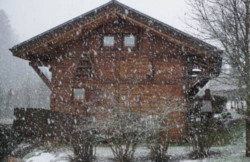 Chalet Indépendant " L'anfian-ne" - Foto 15
