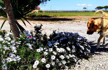 Agriturismo Ristorante Monte Argentario - Foto 20