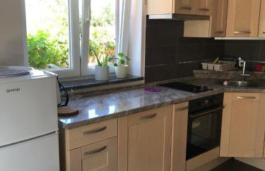 Apartman Sinikovic - Foto 27