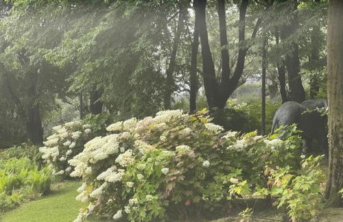 Chalet Bosco Magico Roccolo - Foto 15