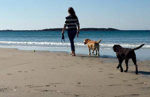 Roselands caravan park, Nr Lands End, Cornwall - Foto 11