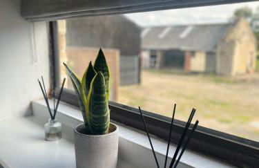 Lavender Cottage - Foto 23