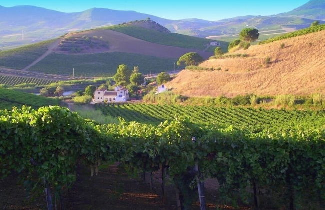 Agriturismo Tarantola - Foto 45