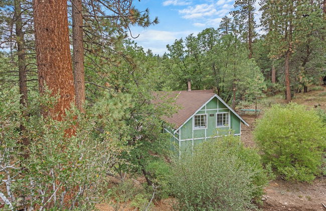 Rest N Relax Inn - Beautiful chalet-style cabin features dramatic forest and slope views! - Foto 43