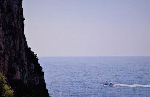 Apartamentos Sureda - Photo 51