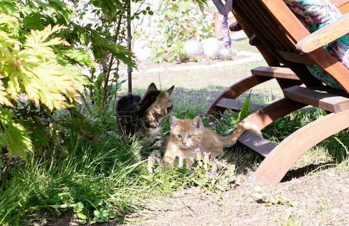 Ferienhof Naderhirn - Bauernhof - Foto 40