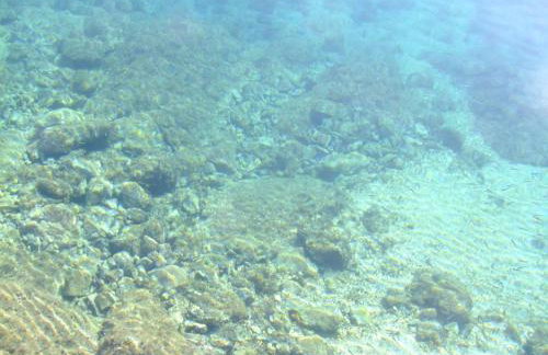 Holiday Home mit Pool in Lukovo Sugarje by Interhome - Foto 35