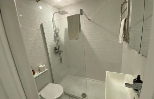 Vintage Shop 2 Bed & 2 Bath room Apa in Central London - Foto 10