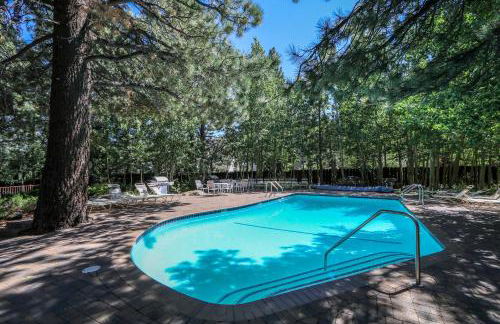 Chateau De Montagne #6 Condo - Foto 48