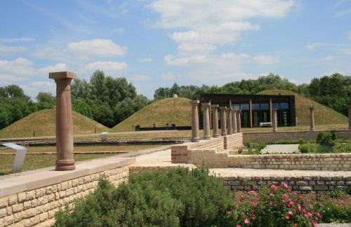 Dachgeflüster - Foto 27