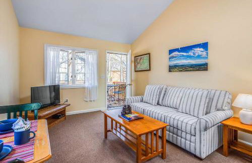 Love Ridge Mountain Lodging - Foto 53