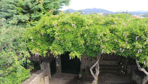 CASA DO ARCO - BARCELOS - Foto 2