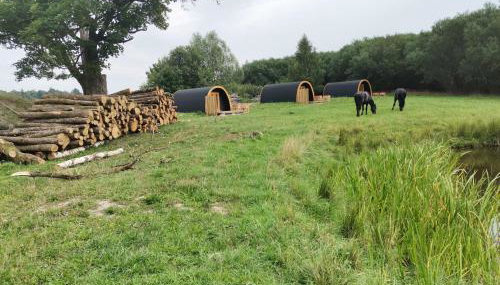 Agroturystyka Dzikie Stawy-Mazury - Foto 5