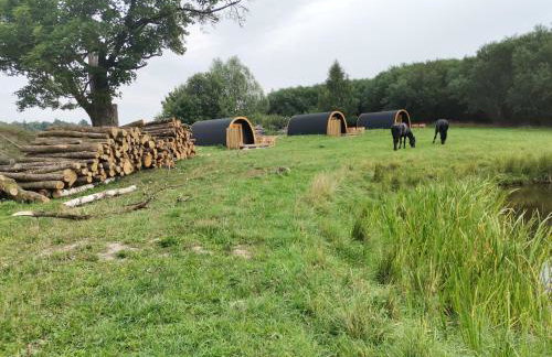 Agroturystyka Dzikie Stawy-Mazury - Foto 5