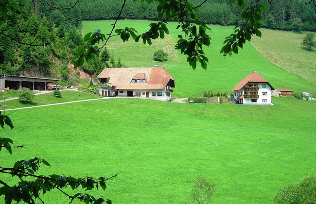 Apartment in Hofstetten Surrounded by Nature - Foto 13
