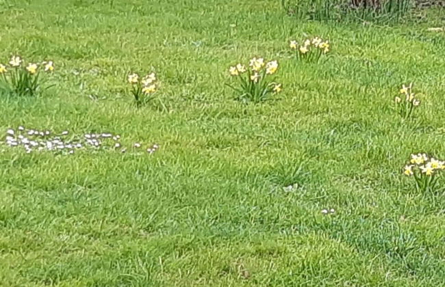 Old Pilot's House - Foto 22