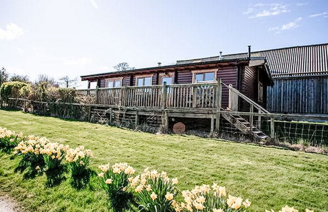 Bonnie View Lodge - Photo 25