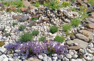 Ferienwohnung am Steingärtchen - Foto 13