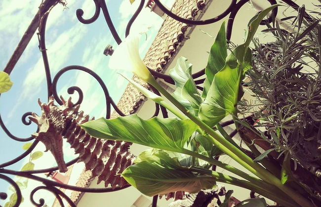 Posada La Gatera - Foto 24