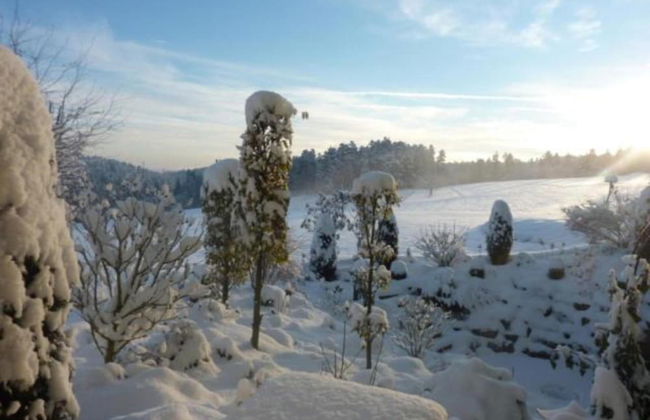 Ferienwohnung Marianne in Neuweiler - Foto 27