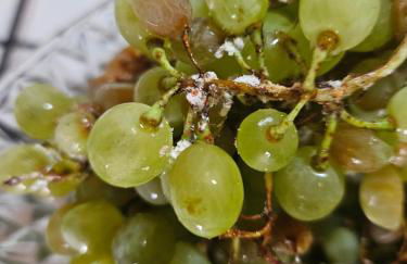 Villa Saint-Michel - Foto 55