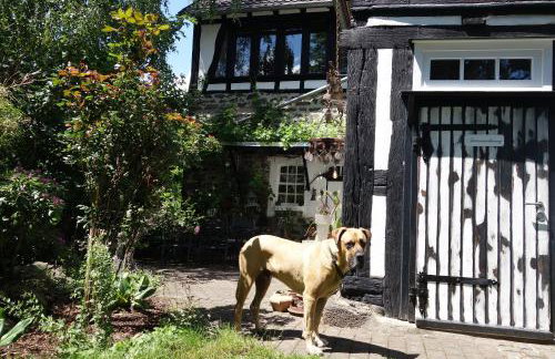 Haus Auenland - Photo 25