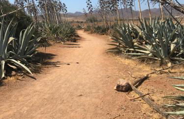 Villa Mi Marino - Foto 41