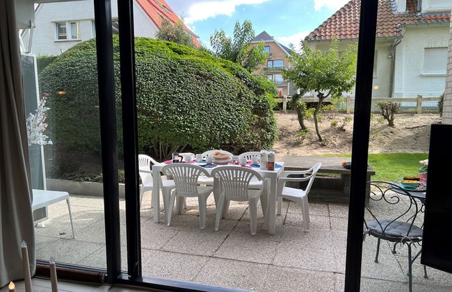 Ster Der Zee On Sea Shore - Foto 9