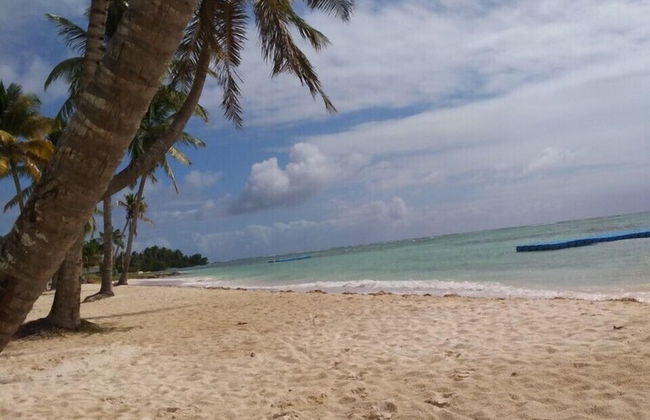 Marco Polo - Photo 27