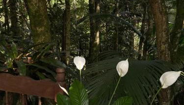 Sítio Ponto de Paz - Foto 5