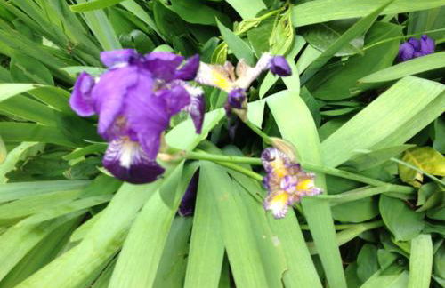 La petite Maison dans la Croix Rousse - Foto 40