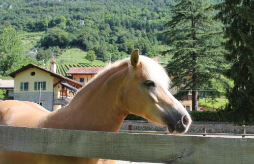 Country House Ramandolo Club - Photo 19