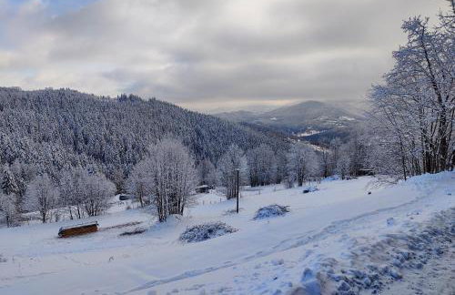 Zacisze na Wzgórzu - Foto 38