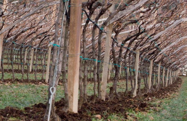 Locanda del Bel Sorriso - Villa Bertagnolli Guest House - Photo 35