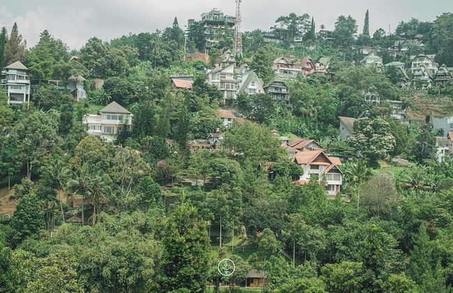 Chamomile Hill View 6BR Villa pool and movie room - Photo 42