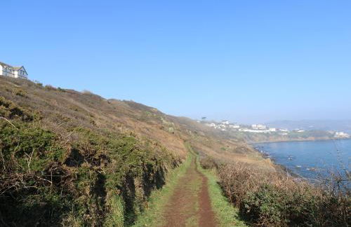 Gannet Watch - Foto 27