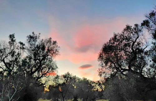 Trullo Amalia con piscina privata - Foto 38
