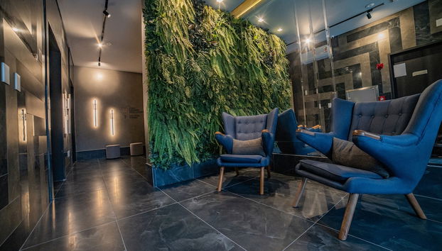 Entrada (vista interior)