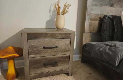 VillaQuèFrancia near Elvis Presley's Graceland 6 mins from Airport, Shuttle, & Rental Vehicle - Foto 28