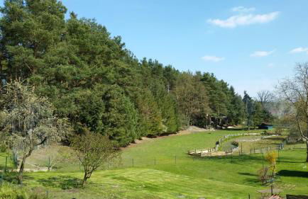 Wald&Wiesengeflüster Zechlinerhütte - Foto 20