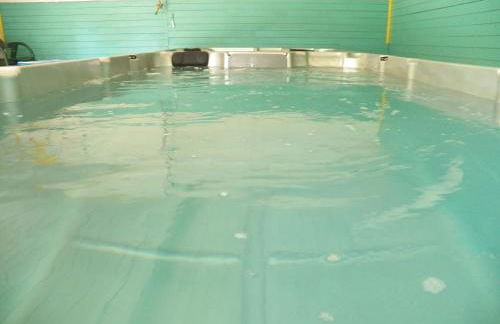 Piscine intérieure Spa privatif, parc arboré 3000 m2, océan et lac - Photo 25