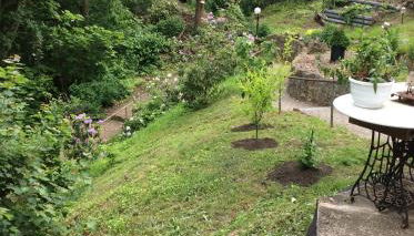 Schöne Ferienwohnung - Foto 2