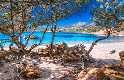 Sardinia Family Villas - Cannigione Beach Apartments - Foto 35