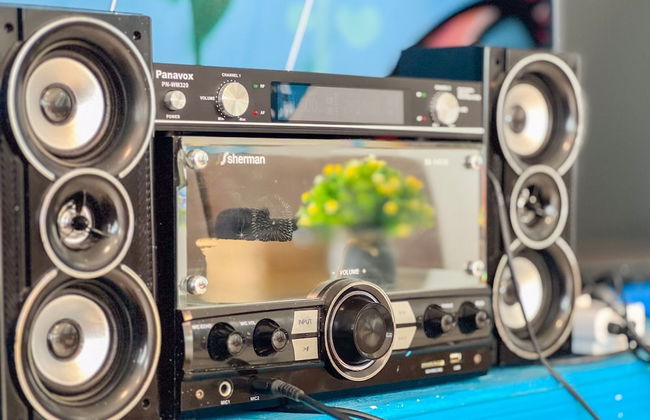 GAO Xpress Beach Club - Photo 13