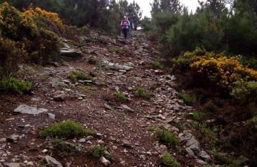 Quinta das Lindas 2 - Foto 52