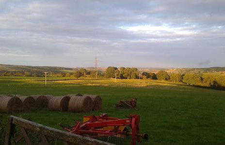 Hamsteels Hall Cottages - Foto 44