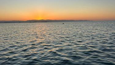 Sweet Home Pia - Foto 4