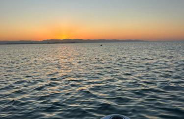 Sweet Home Pia - Foto 4