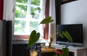 Haus am Stadttor - Foto 42